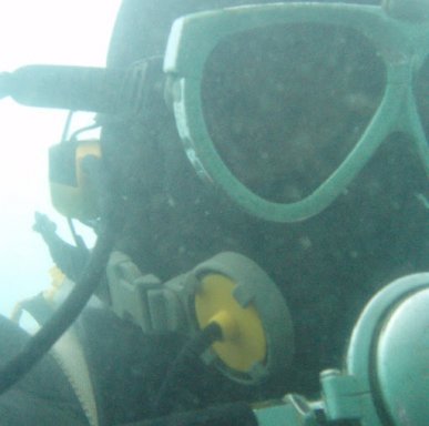 apadiver