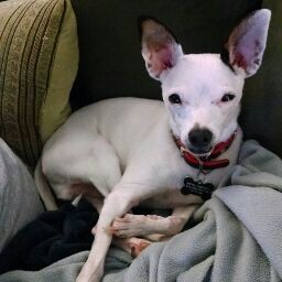 Amy