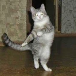 123