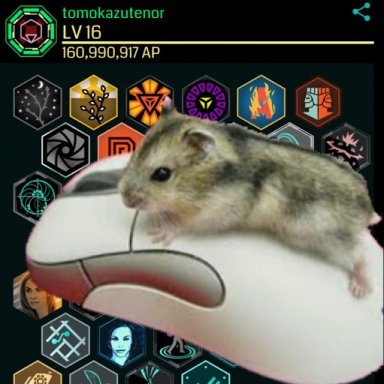 tomokazutenor