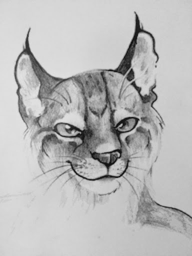 LarsLynx