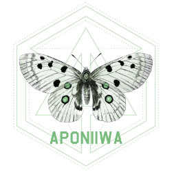 Outponidae