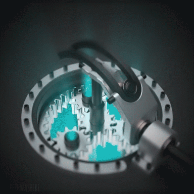 octo