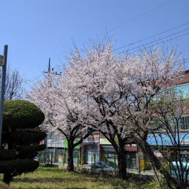 neopeacful
