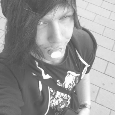 Shipy