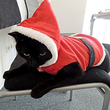 mungwana