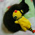 takeru