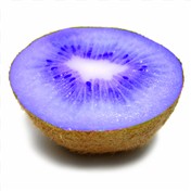 Kioui