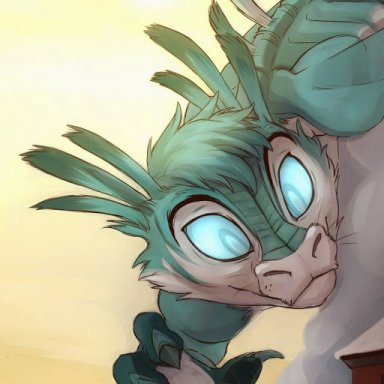 dragon43