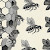 Banksia8