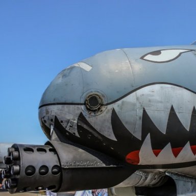 Warthog888