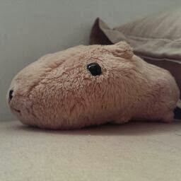 jeff