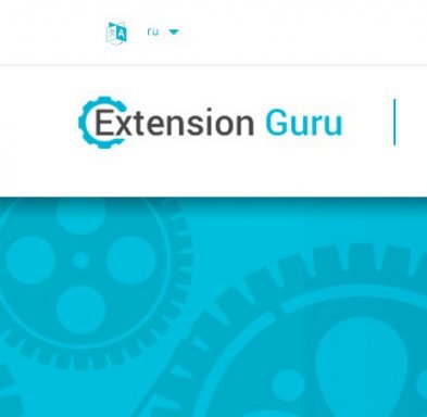 EXTGURU