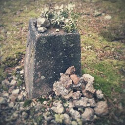 LeveL 6
