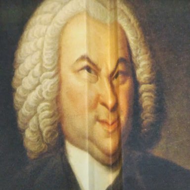 SebaschangBack
