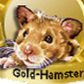 DerGoldHamster