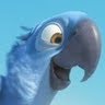 polly0079