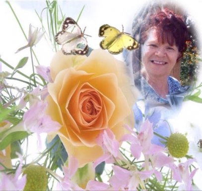 Nance Roy