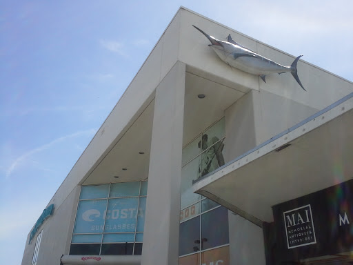fishing tackle unlimited