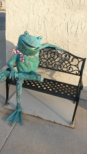 Frog On The Bench Ingress Portal