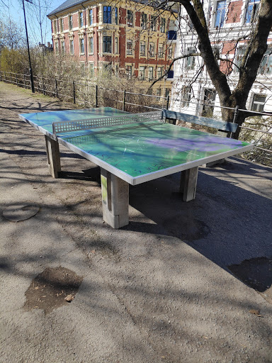 ping pong bord