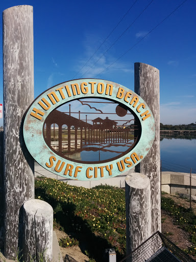 Surf city sale usa